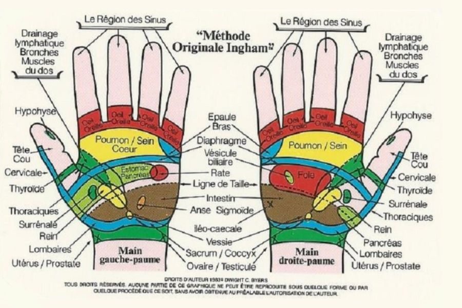 réflexologie palmaire nutri for me