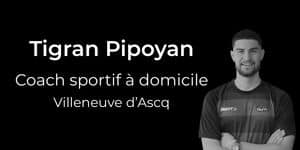 presentation tigran pipoyan